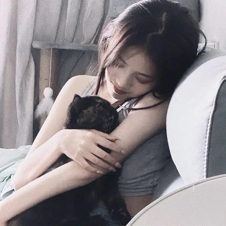 女导与强盗