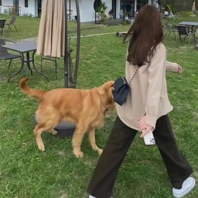 无节操摄影部
